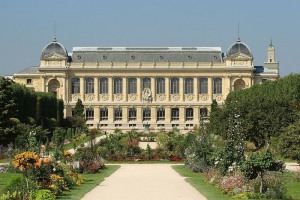 An ideal place to visit in the spring: the Jardin des Plantes