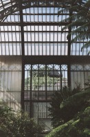Discovering the greenhouses of the Jardin des Plantes