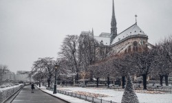 Notre-Dame de Paris, une attraction emblématique